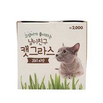 [다이소]COOM냥이친구캣그라스_귀리씨앗-96043