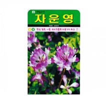 자운영씨앗 1000립 자운영꽃씨앗 꽃씨앗 종자 씨앗 씨