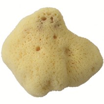 [벨리니] 천연해면실크파인 FD7, 병아리색, 1개