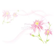 하우디 플라워벽지 F-887