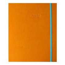 무즈앤뷰스 더블포켓 100 일반앨범 25매 4 x 6, 망고, 1개