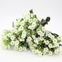 행복한마을 조화 부쉬 사랑초, 화이트