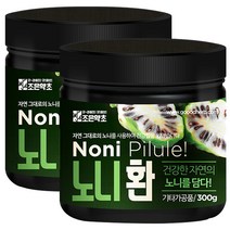 조은약초 굿허브 노니 환, 2개, 300g