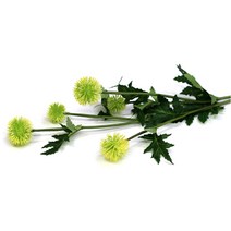 다우에프앤지 조화 민들레 가지, 옐로우그린, 1개