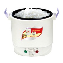 렉스디 케리 차량용 라이스 쿠커 12V, 1개