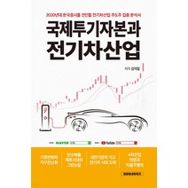 국제투기자본과 전기차산업, 글로벌네트워크, 김석일
