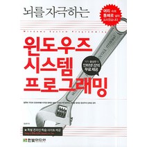 뇌를 자극하는 윈도우즈 시스템 프로그래밍, 한빛미디어