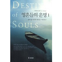 영혼들의 운명 1:삶과 삶 사이의 새로운 사례 연구, 나무생각, 마이클 뉴턴 저/김지원 역
