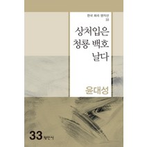 [평민사]상처입은 청룡 백호 날다 - 한국희곡명작선 33, 평민사, 윤대성