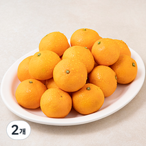 다조은 강서시장 새벽경매 하우스 감귤, 1.2kg, 2개