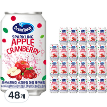 오션스프레이 스파클링 애플 크랜베리 탄산음료, 48개, 345ml