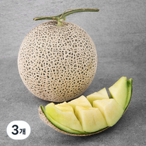 곰곰 x 농협 곰곰 부여 멜론, 1.25kg, 3개