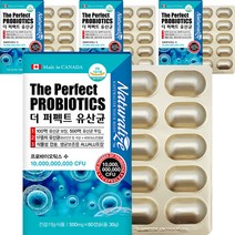 네추럴라이즈 더 퍼펙트 유산균, 60정, 4개