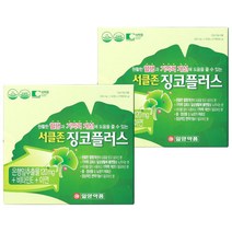 일양약품 서클존 징코플러스 4개월분, 60정, 500mg, 4개