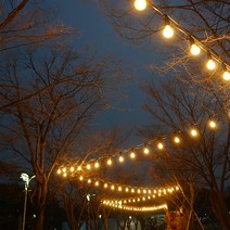 스트링월드 스트링라이트 전등선 30m 30소켓 + 벌브 12W 30p + 갓 30p 세트, 블랙(전등선), 화이트(갓), 주광색(벌브)