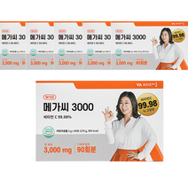 비타민마을 메가씨 3000 비타민C 분말 스틱, 3g, 540개입