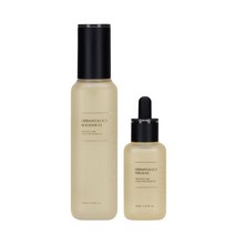 인셀덤 더마톨로지 퍼스트 패키지 EX 부스터 130ml + 세럼 45ml, 1세트