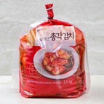 일품김치 아삭한 맛 총각김치 5kg