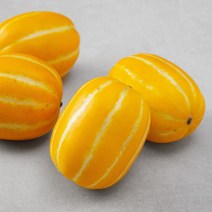 성주 노란 미니참외, 2.5kg(13~18입), 1봉