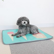 딩동펫 반려동물 아이스크림 쿨방석, 민트