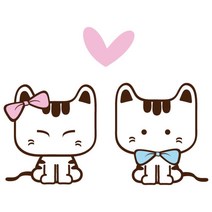 데코사랑 그래픽스티커, 냥이 C