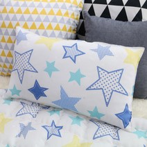 보떼하우스 인견 베개 마이크로화이버 베갯솜, 빅스타 (블루)