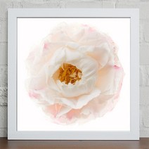 꾸밈 작약꽃 3타입 디자인 액자, 화이트