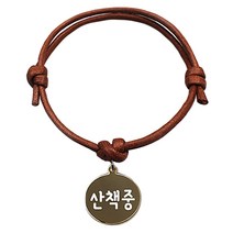애드봉 펫츠룩 굿모닝 카라멜 반려동물 목걸이 S, 골드(산책중), 1개