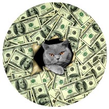 리빙팝 머니 켓 원형 발 매트, 5 type