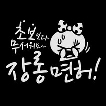 제제데코 초보운전 스티커 장롱면허 쁘띠, 반사(밝은은색), 1개