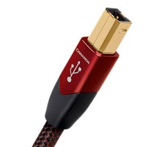 오디오퀘스트 USB 2.0 Cinnamon A to B USB 2.0 AV케이블 3m