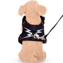 제제펫 반려동물 야광 에어 메쉬 하네스, Y405PDRH032