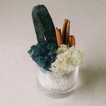 아스파시아 숲속 파티 스칸디아모스 숯 화분 클래식블루 앤 네츄럴, 1개