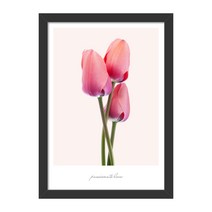 씽크어스 플라워액자 03 튤립C, BLACK