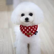 도그아이 강아지 똑딱이스카프 S, 빨간별, 1개
