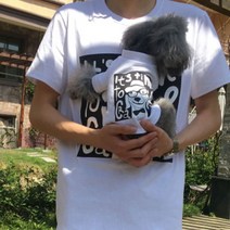 노랜드 TLB Bichon 강아지 + 여성 견주 커플옷, 혼합 색상