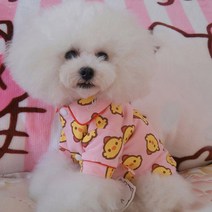 에이프릴16 반려동물 사계절 미코 파자마, 핑크병아리