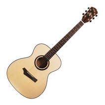고퍼우드 어쿠스틱 기타, i-110, 혼합 색상