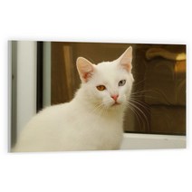 유브이디에스 아트보드 주방시트지 오드아이, 1개