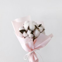 블루밍앤미 목화 6p 스몰 꽃다발, 핑크