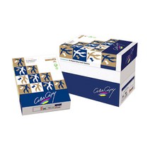 몬디 컬러카피 칼라레이저 전용 복사용지 100g 미색 5p, A4, 2500개