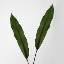블루밍앤미 조화 하와이안 leaf 2p, 그린