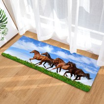 이지웜 지브라 발매트, A-5