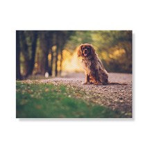 리틀하이커 Dog 캔버스 프린팅 액자 A3W36 36