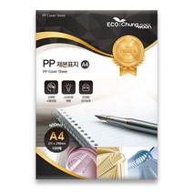 에코청운 PP제본표지 500mic 100p, 투명, A4