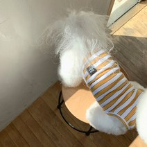 매그독 탐스 스트라이프 민소매 티셔츠, 옐로우