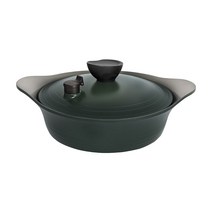 팰러스 레트로그린 IH 인덕션 통주물 전골냄비, 24cm