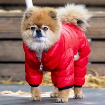 퍼피아 조끼 올인원 경량 점퍼 PAPD-JM1673, 레드