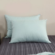 린튼 M2 기능성 알러지케어 베개 커버 2p + 다운필 베개 솜 2p 세트, 퓨어민트