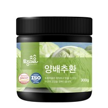 토종마을 HACCP 인증 양배추환, 1개, 300g